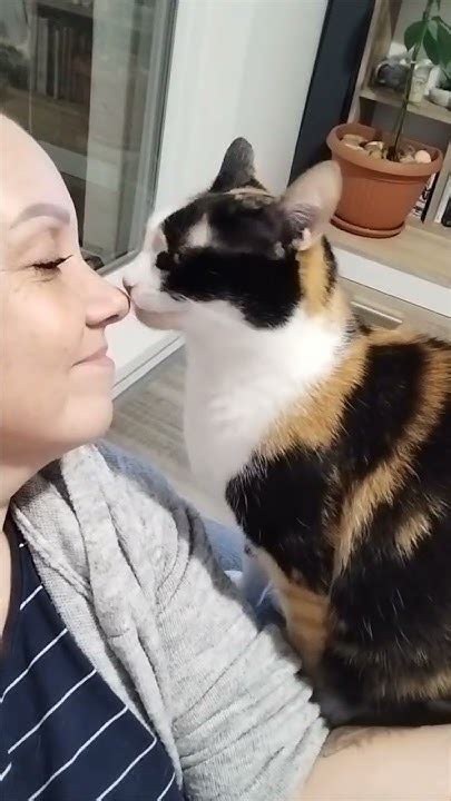 kiss cat porn|Kisscat porn videos